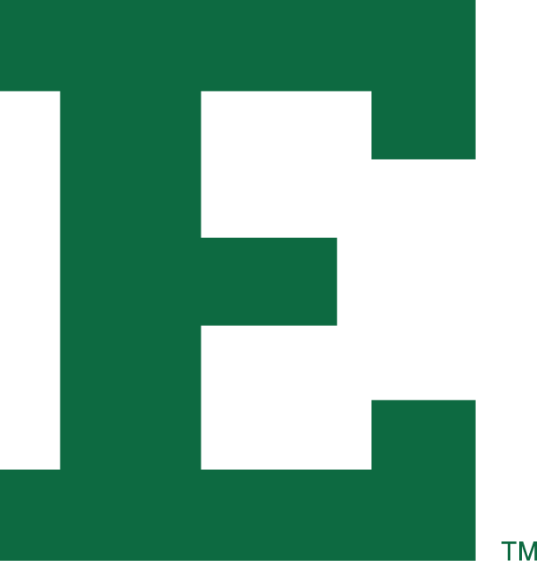 Eastern Michigan Eagles 2002 Primary Logo diy iron on heat transfer